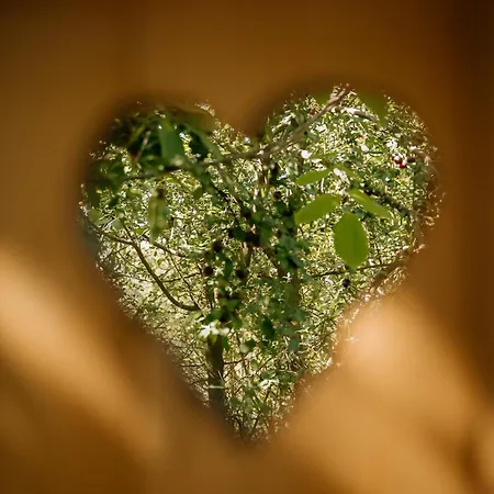 Lyxtält Forest Okoř