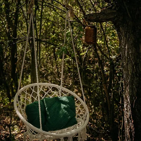 Forest Campismo de Luxo *