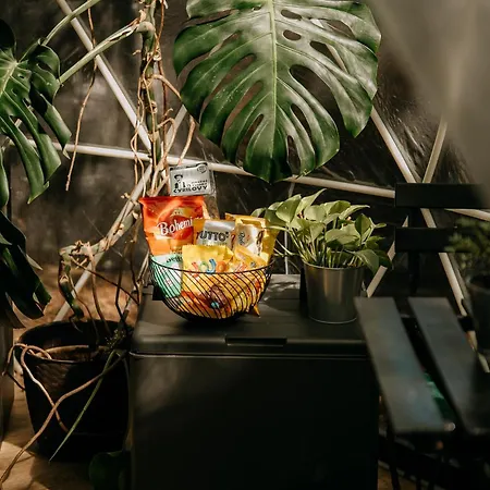 Campismo de Luxo Forest
